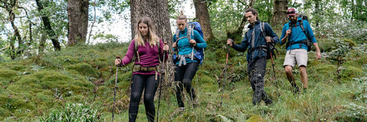 What is the main function of trekking poles？| IFAST